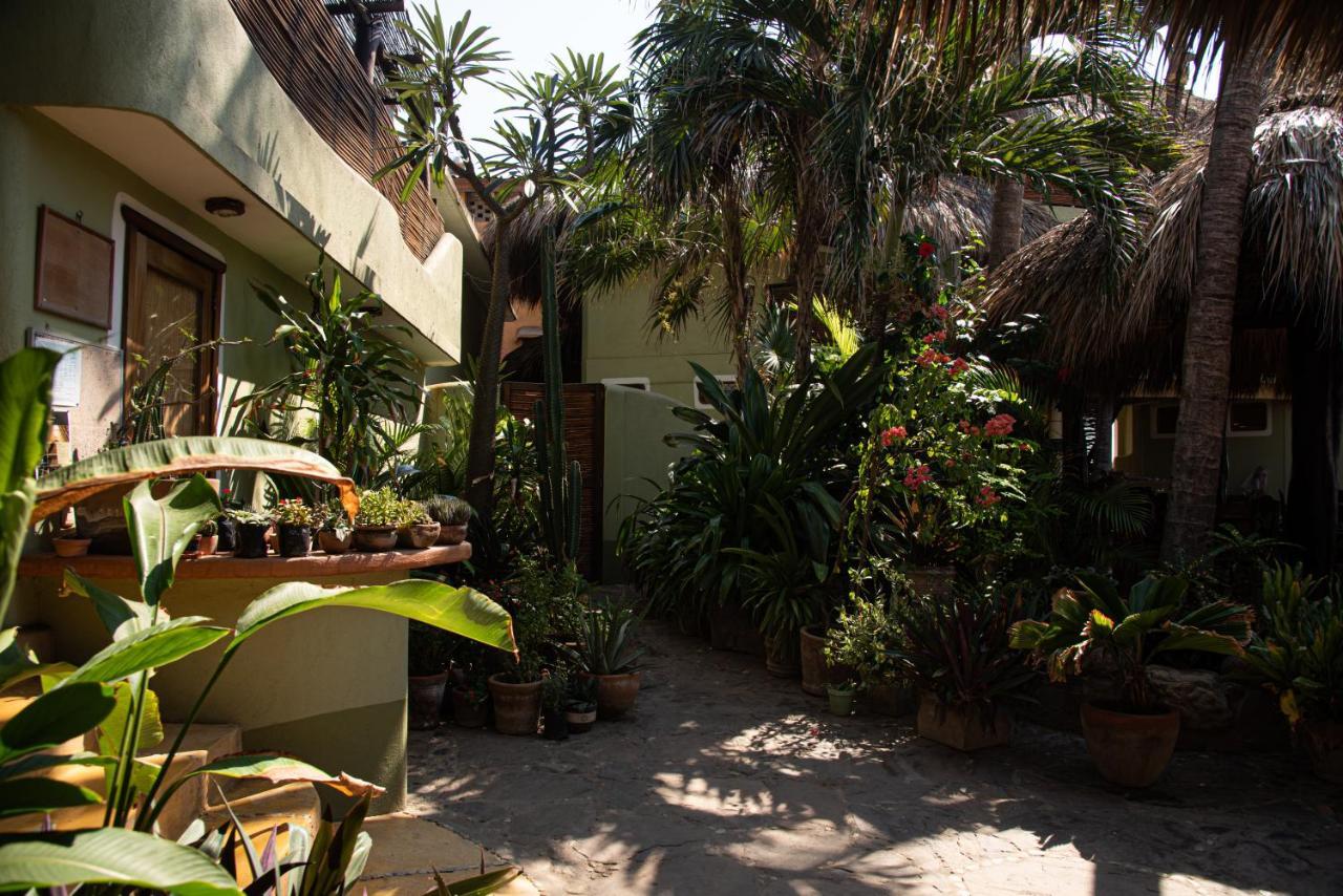 Posada Y Pizzeria La Termita San Agustinillo Ngoại thất bức ảnh